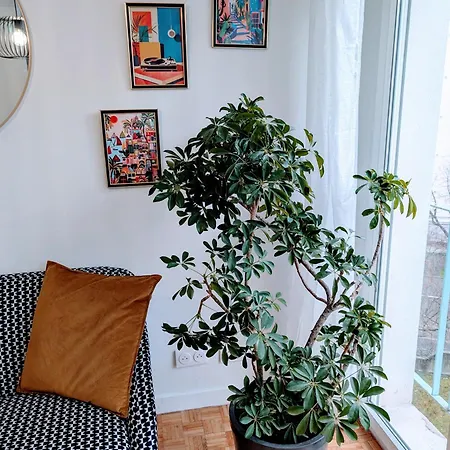 L'appart Le 19 , F3 Proche Centre Vue Cathedrale, 2 * Клермон-Ферран